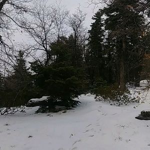 Meet your Posher, Gilberto